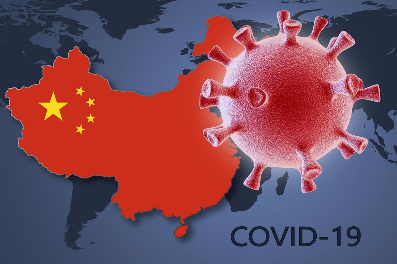 What is HMVP virus, Chinas recent 'Covid-like outbreak', should